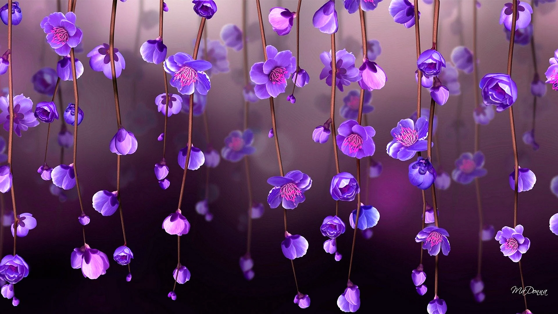 Purple Violet Flower Wallpaper