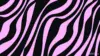 Purple Zebra Wallpaper