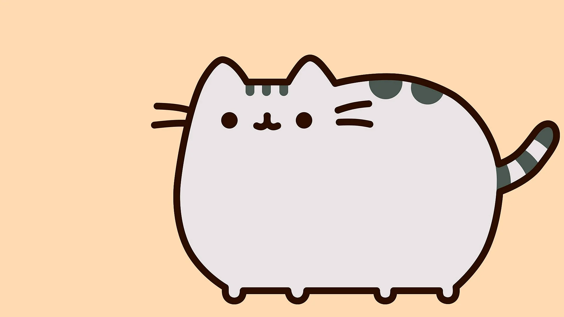 Pusheen Cat Wallpaper