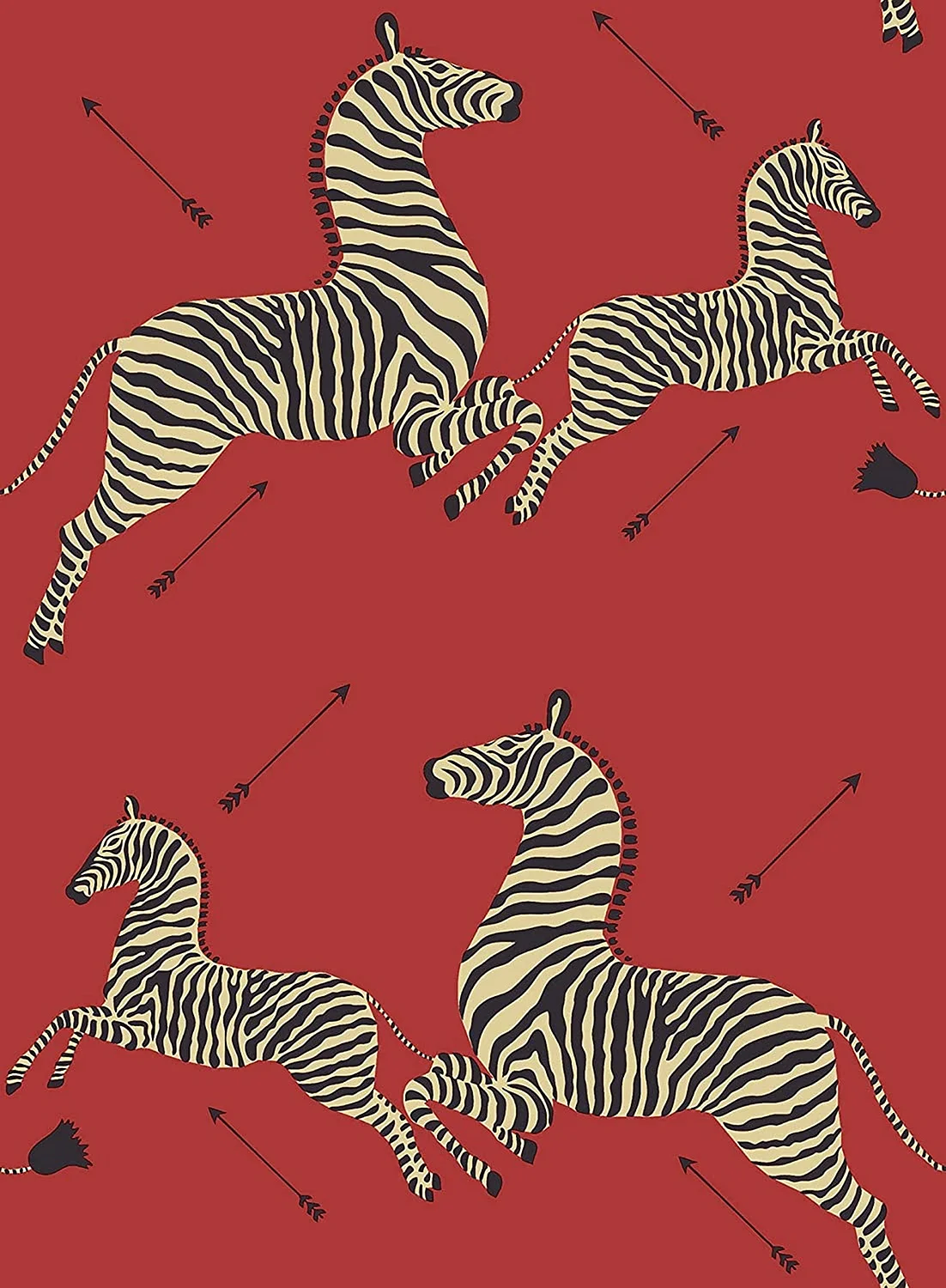 Quadros Imagens Zebra Wallpaper
