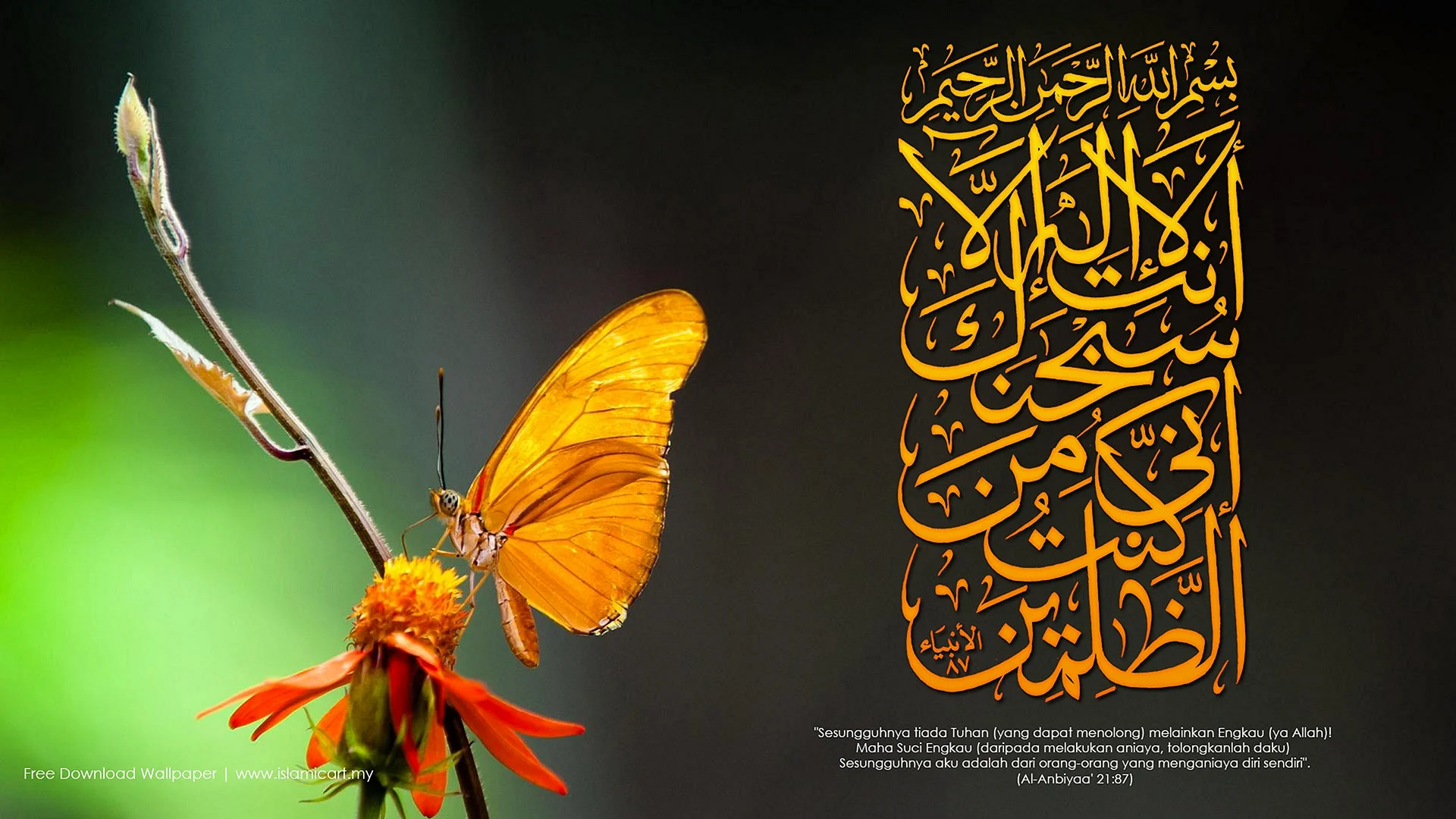 Quranic Verses Wallpaper