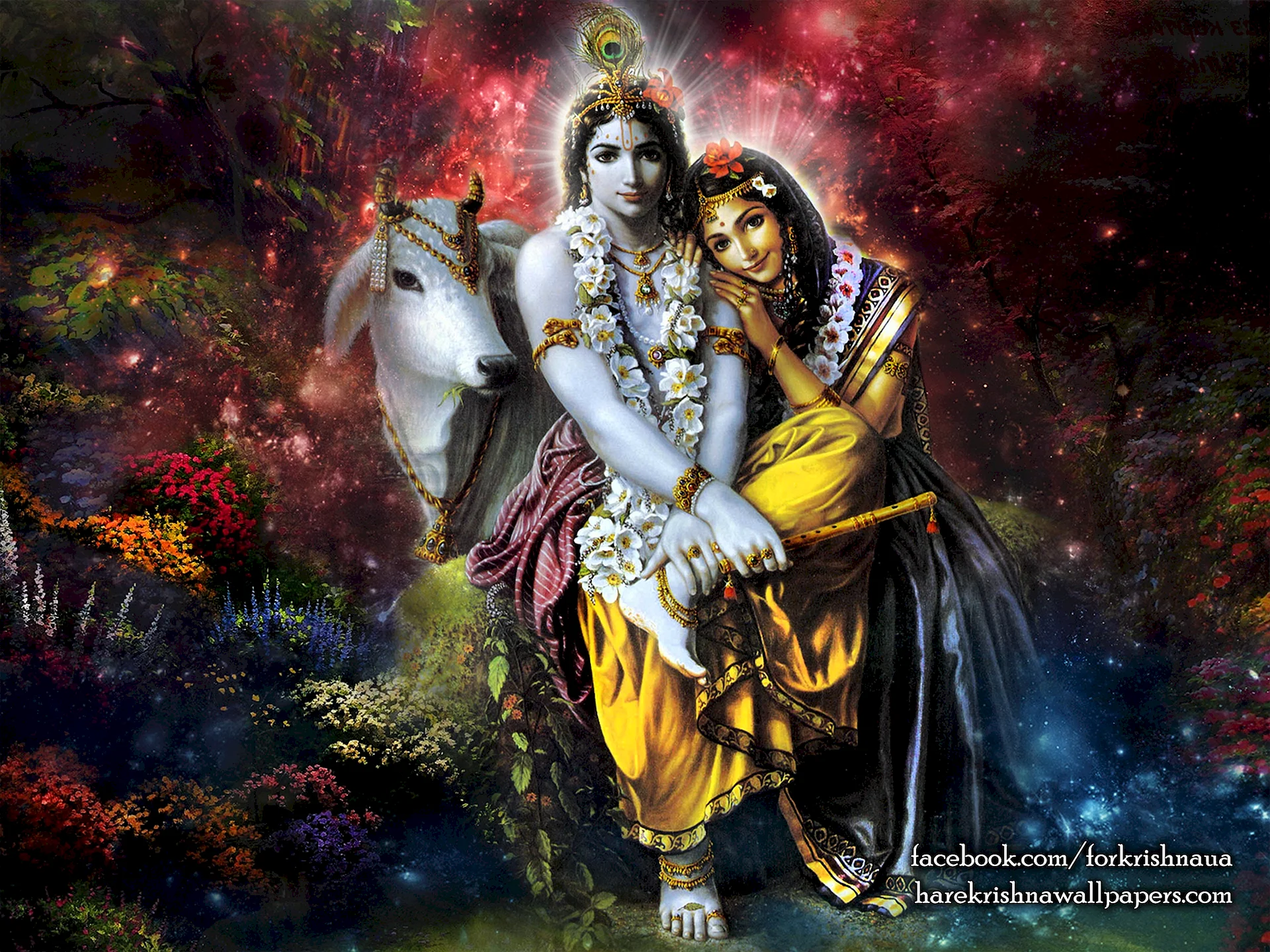 Radha Krishna Wallpaper