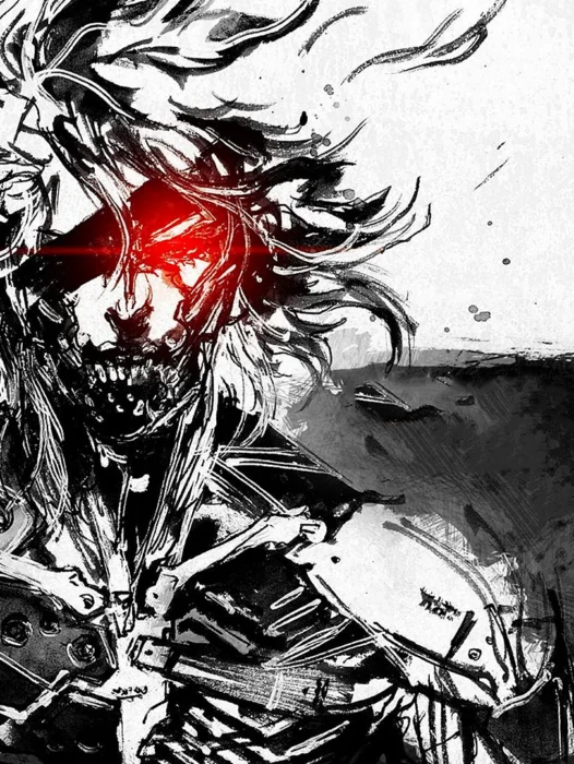 Raiden Metal Gear Wallpaper