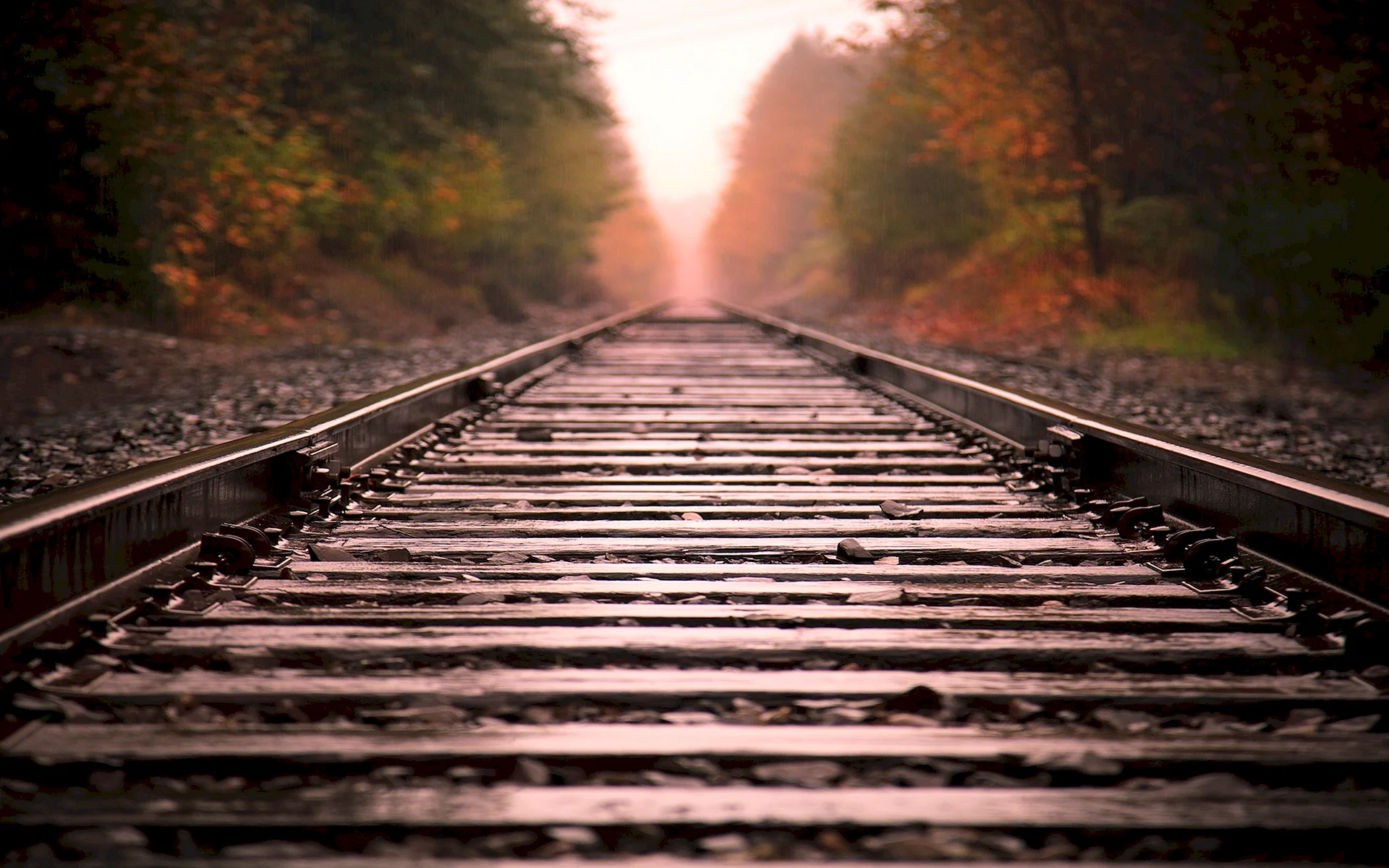 Railway Track Wallpaper