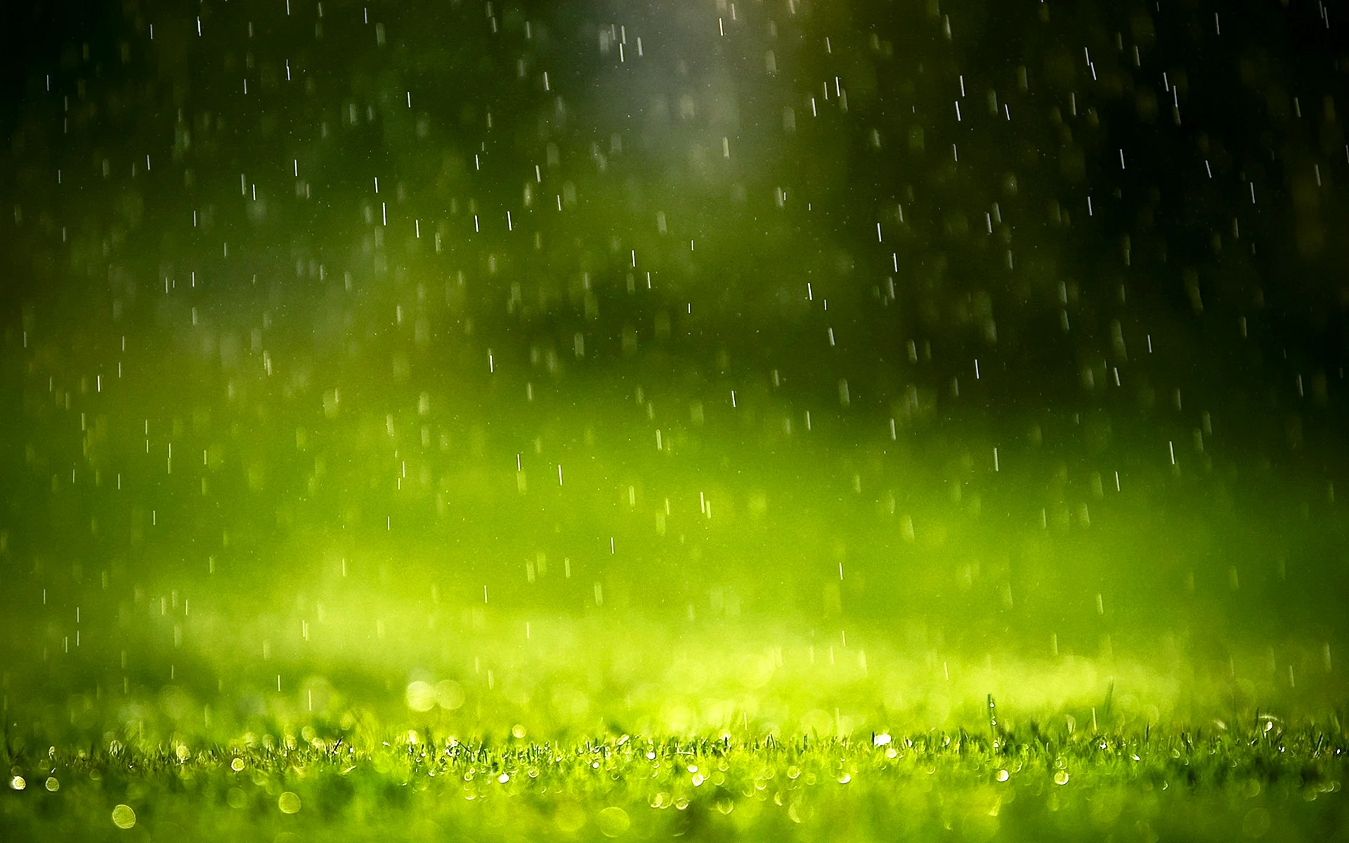 Rain Wallpaper