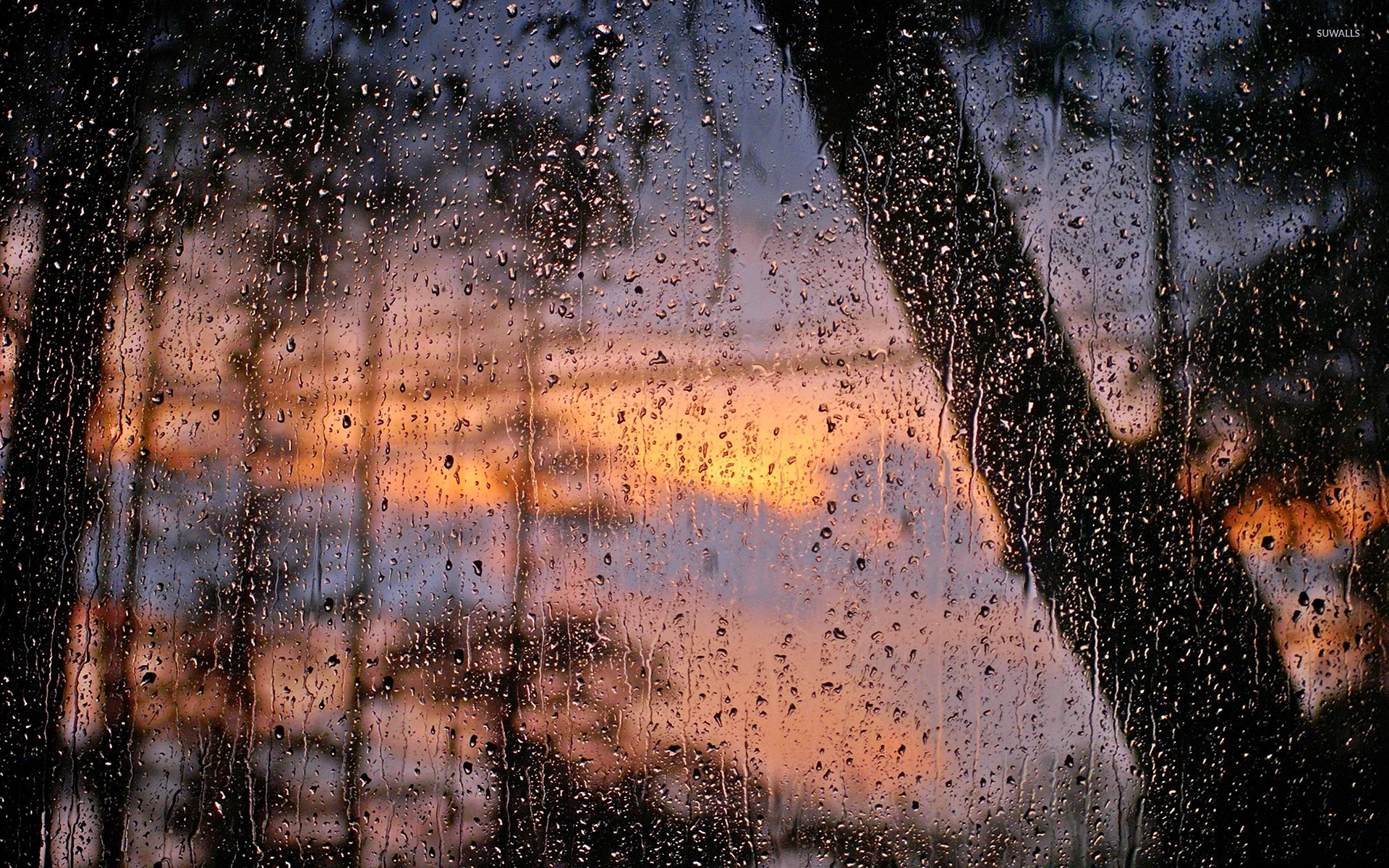 Rain Wallpaper