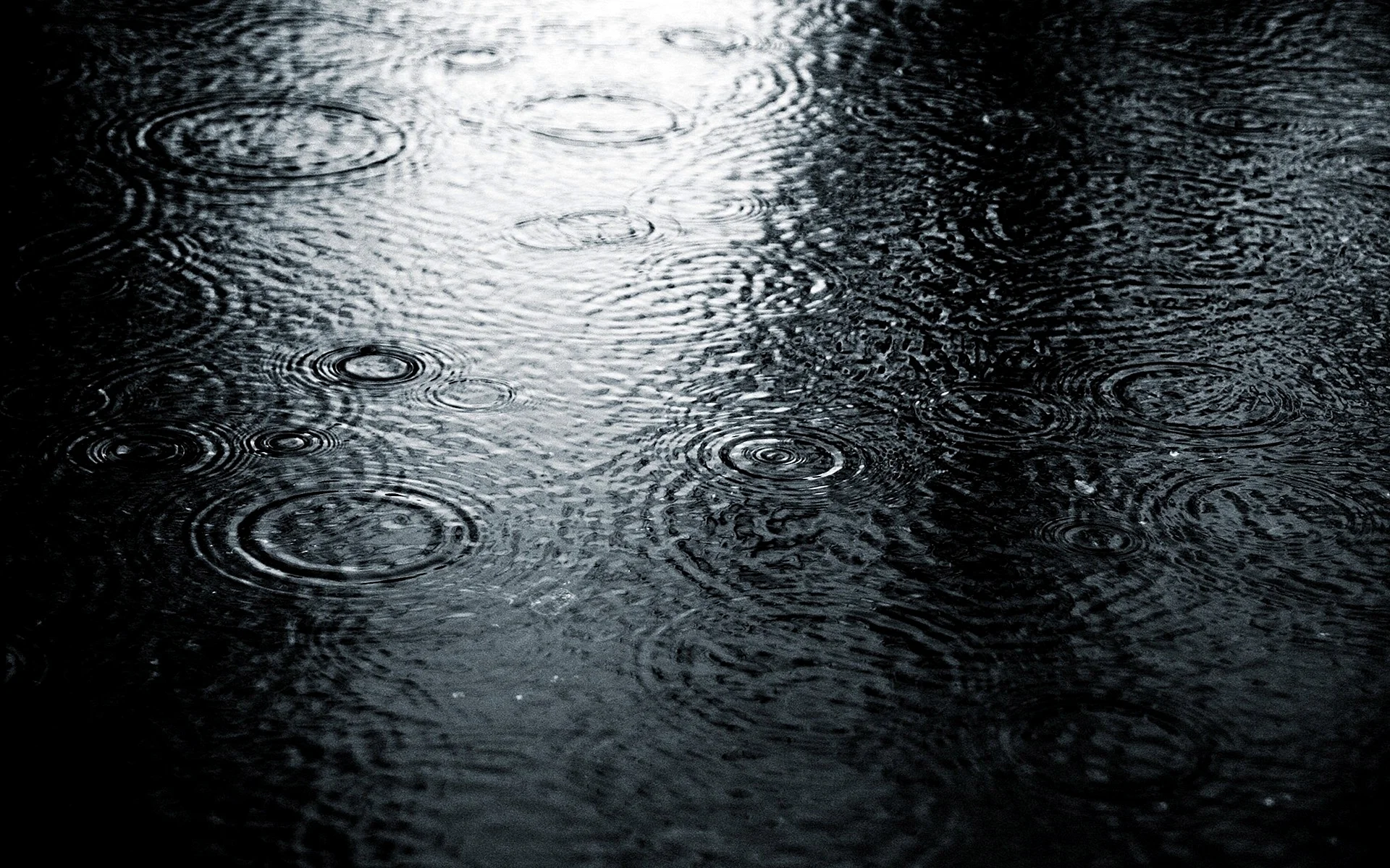 Rain Wallpaper