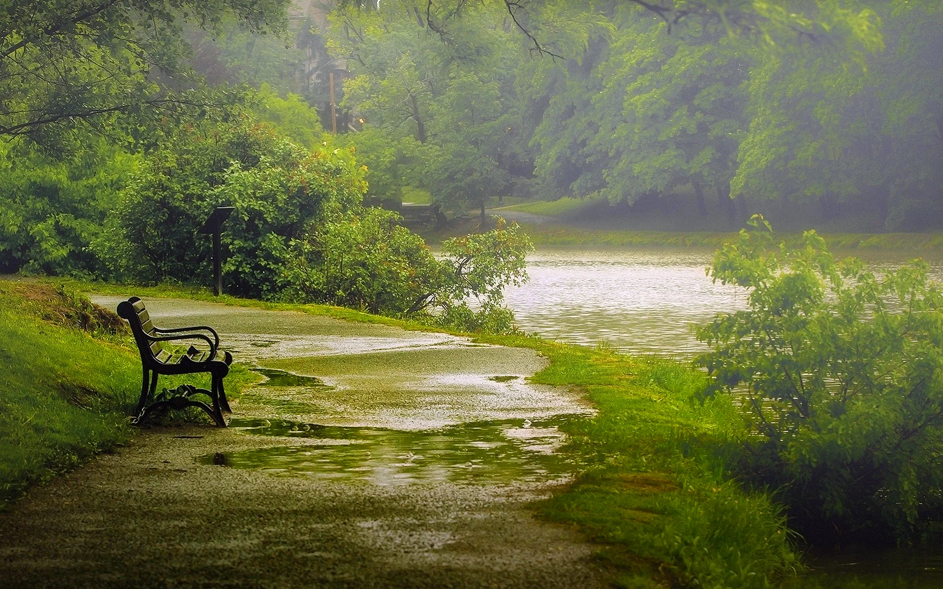 Rain Landscape Wallpaper