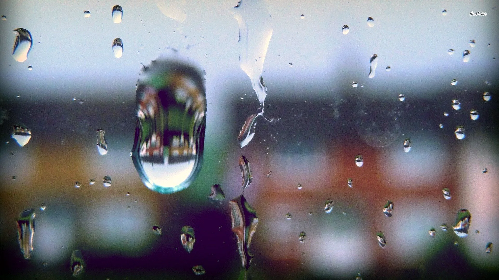 Rain Water Drop Wallpaper