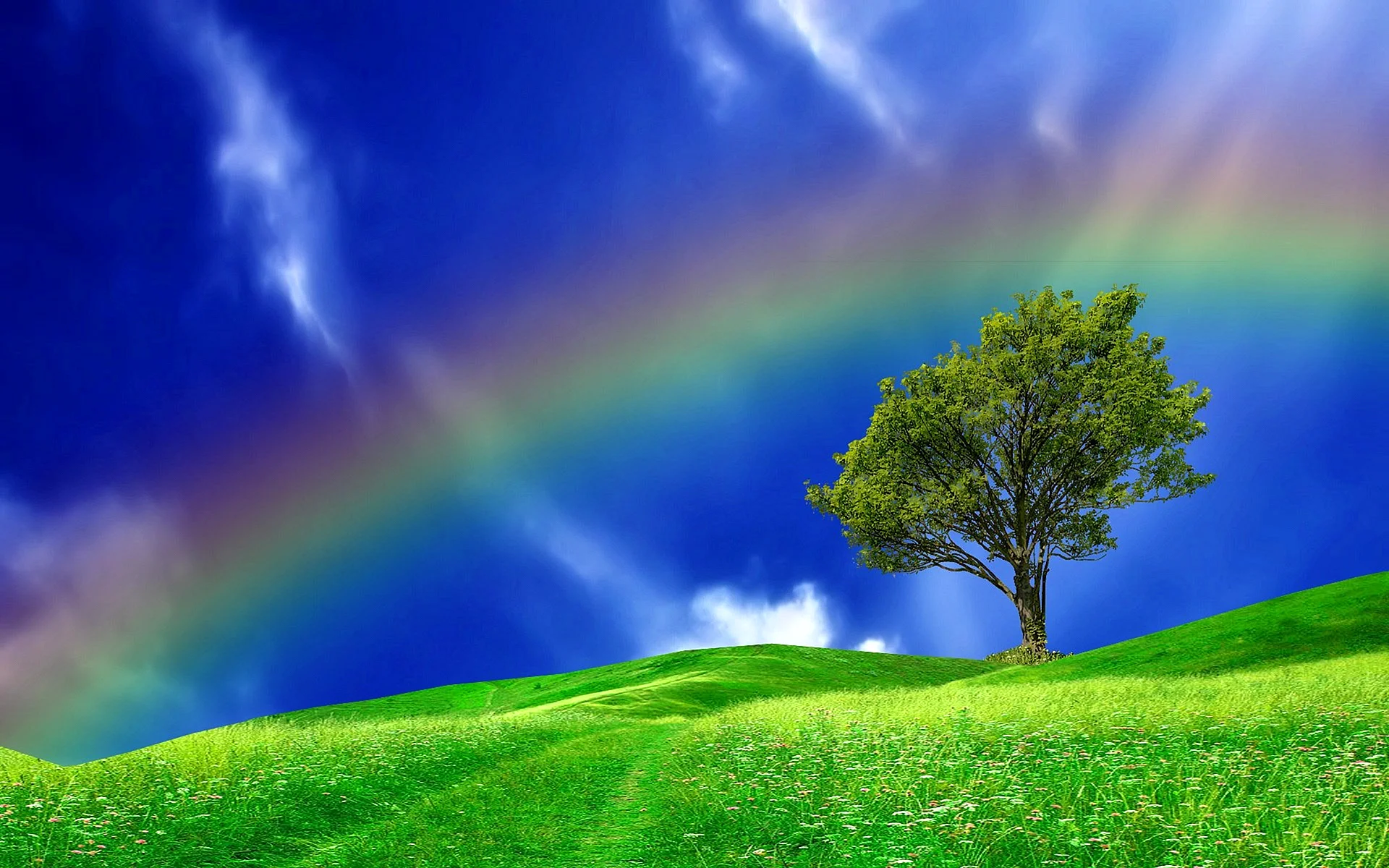 Rainbow Wallpaper