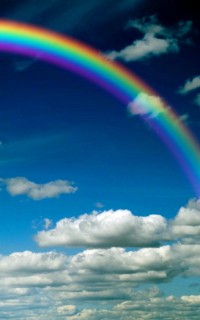 Rainbow Wallpaper