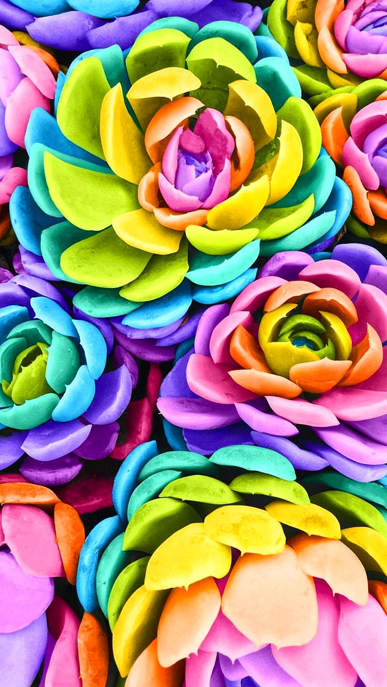 Rainbow Flower Wallpaper For iPhone