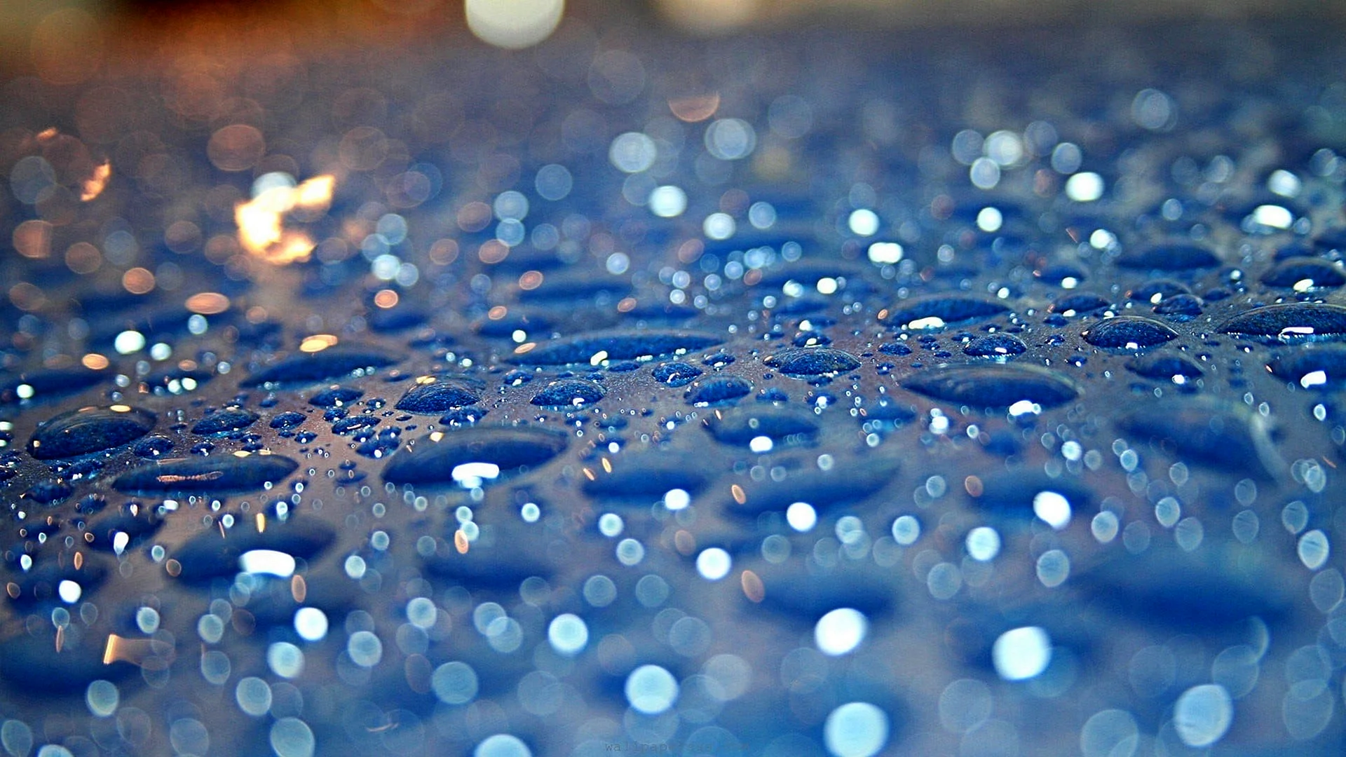 Raindrops Wallpaper