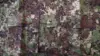 Rainforest Military Camo Wallpaper