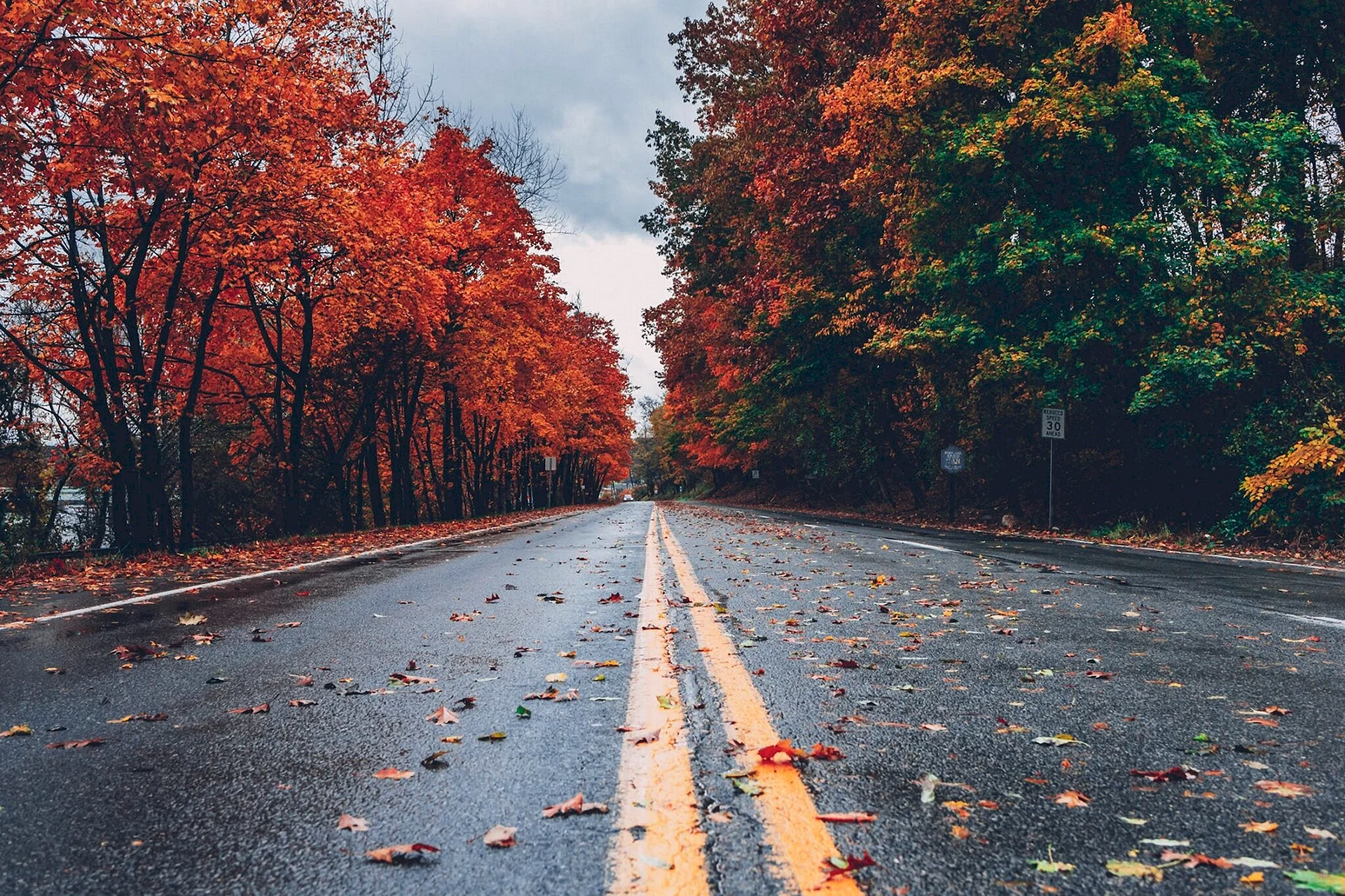 Rainy Autumn Wallpaper