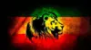 Rastafari Lion Wallpaper