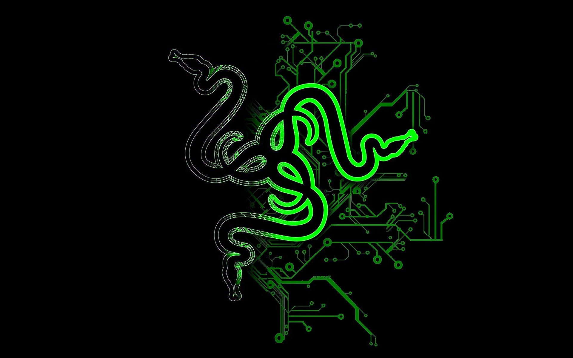 Razer Wallpaper