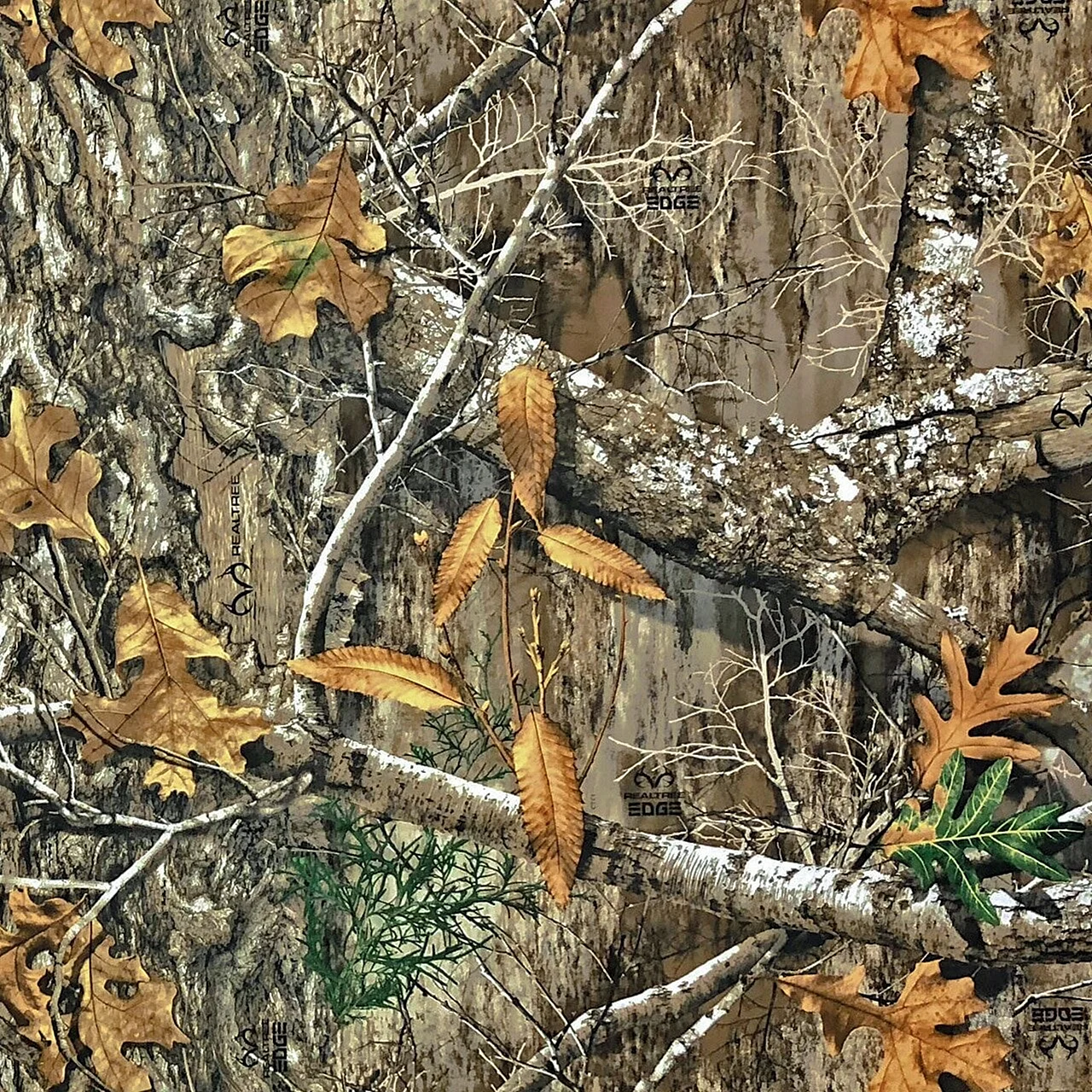 Realtree Camo Wallpaper