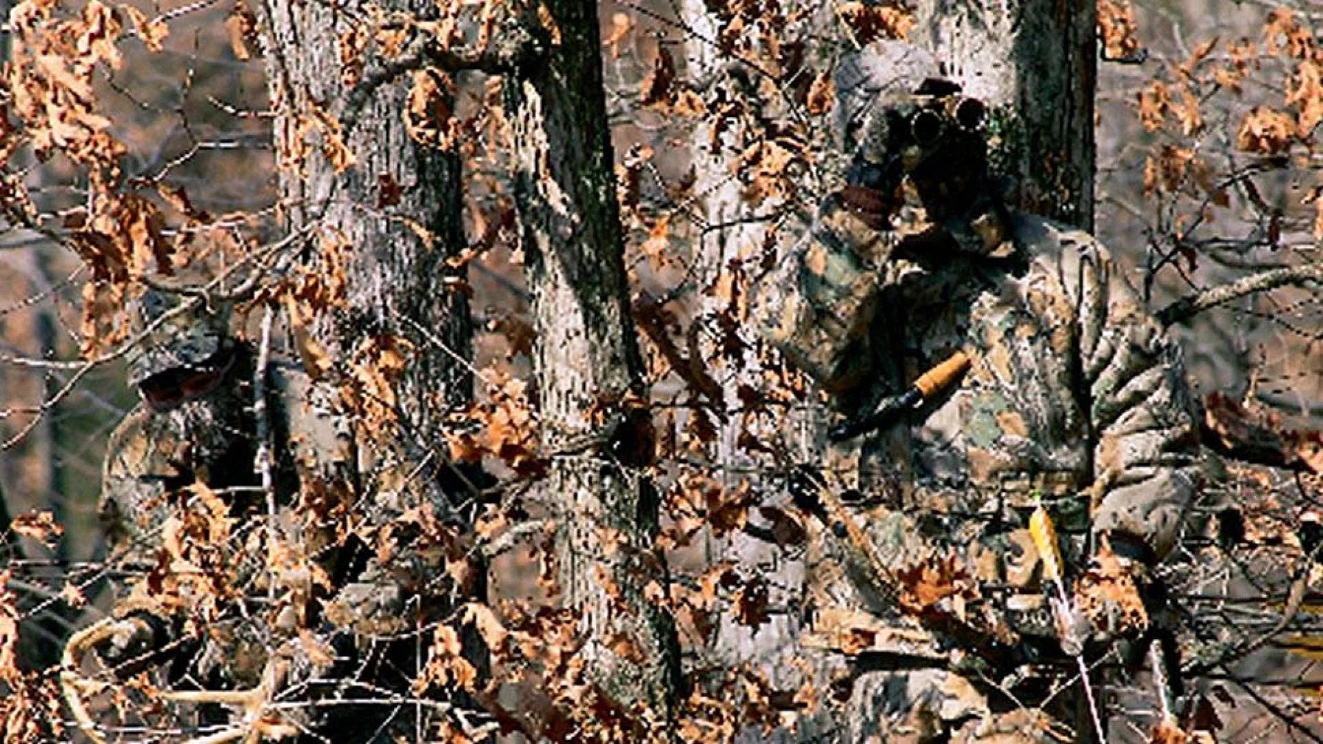 Realtree Camo Wallpaper