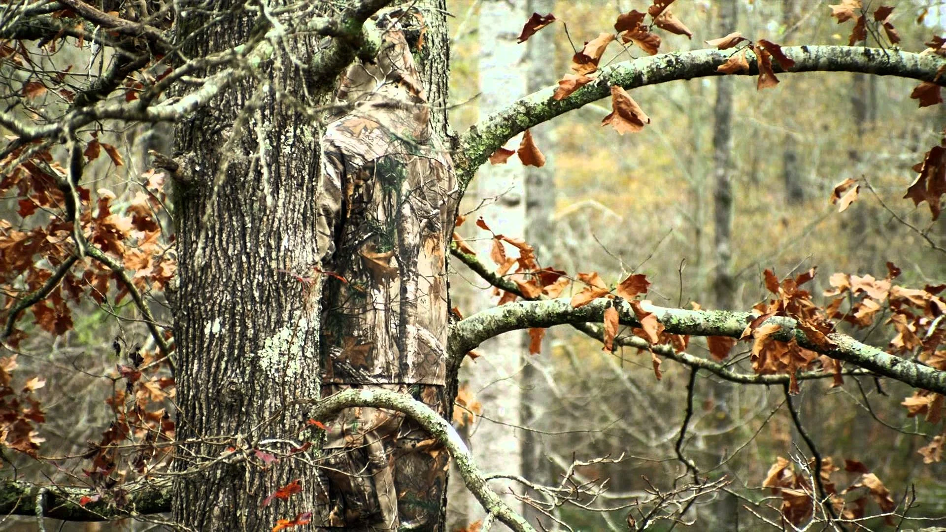 Realtree Camo Wallpaper