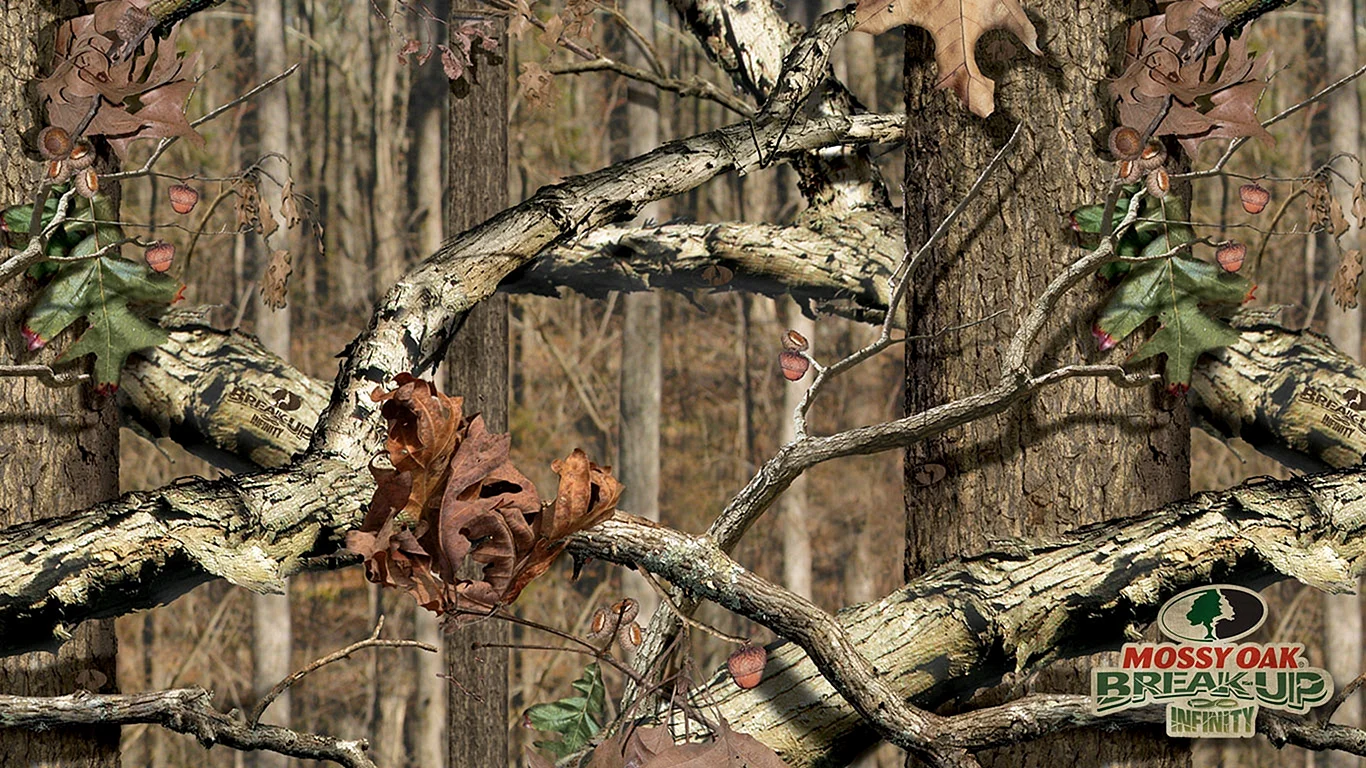 Realtree Camo Wallpaper