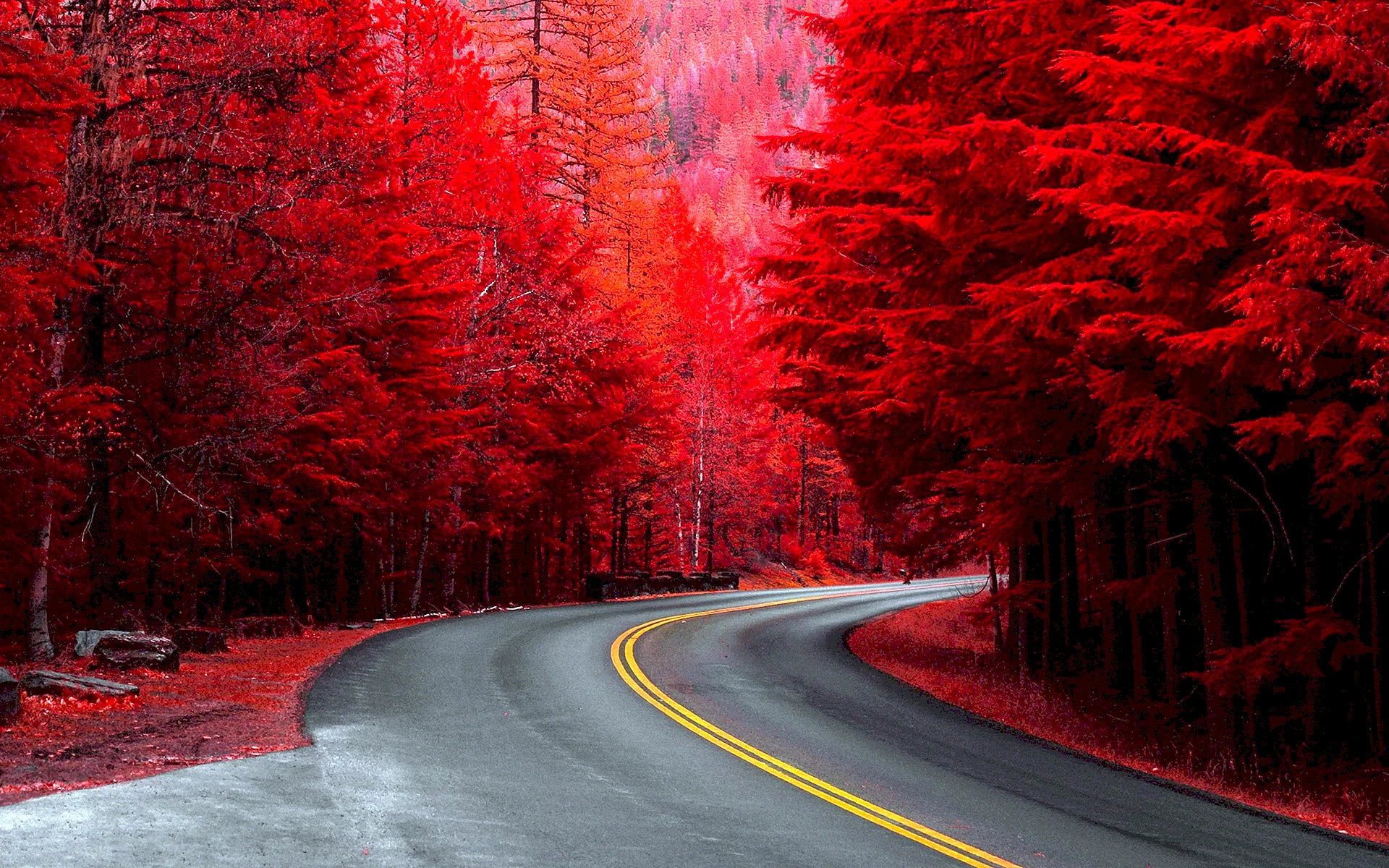 Red Autumn Wallpaper