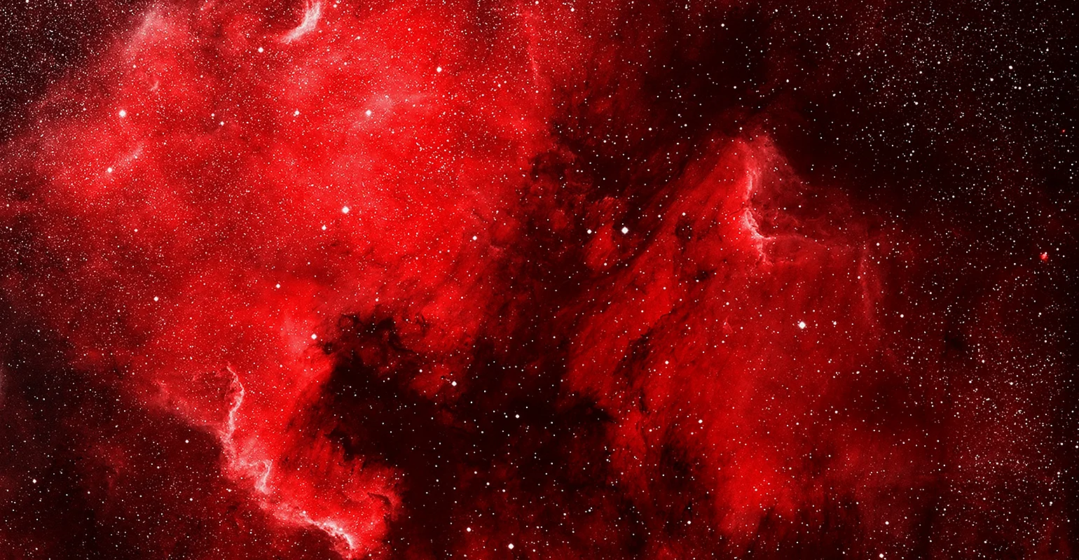 Red Cosmos Wallpaper