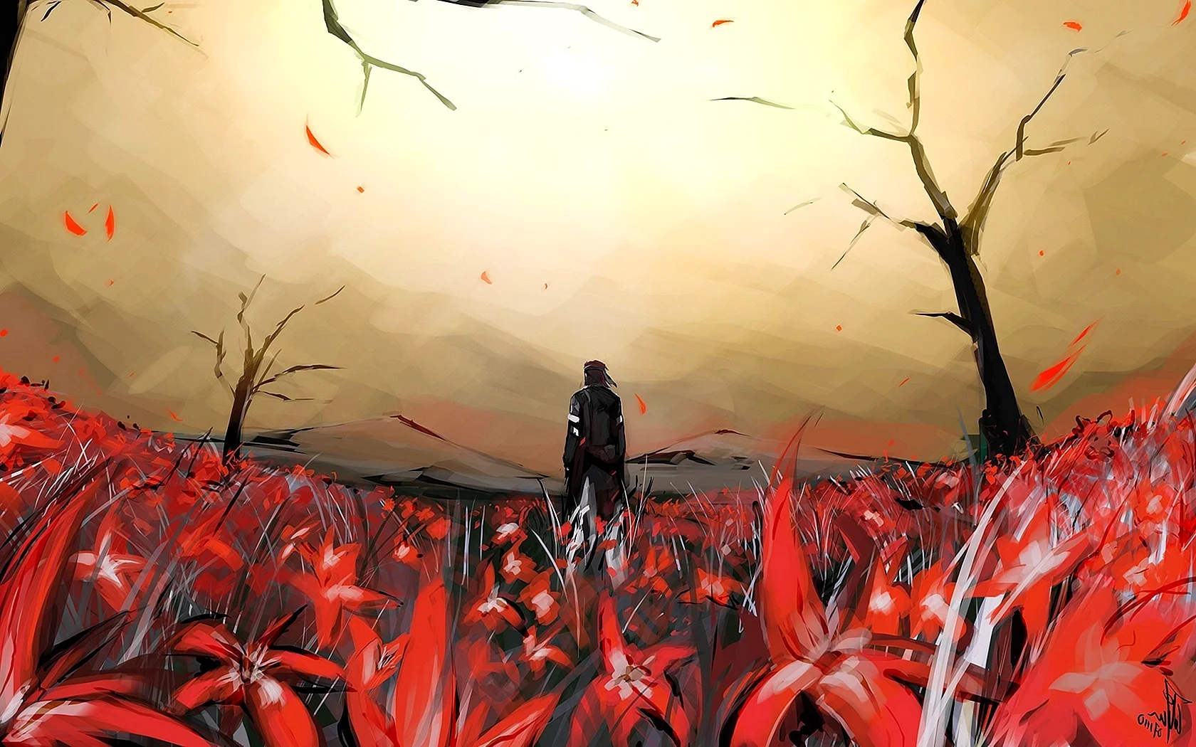 Red Flower Wallpaper