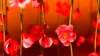 Red Flower Wallpaper