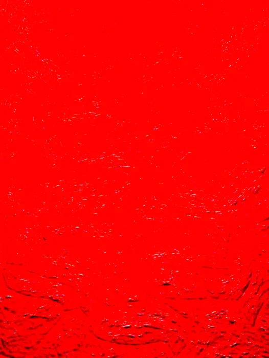 Red Fon Wallpaper