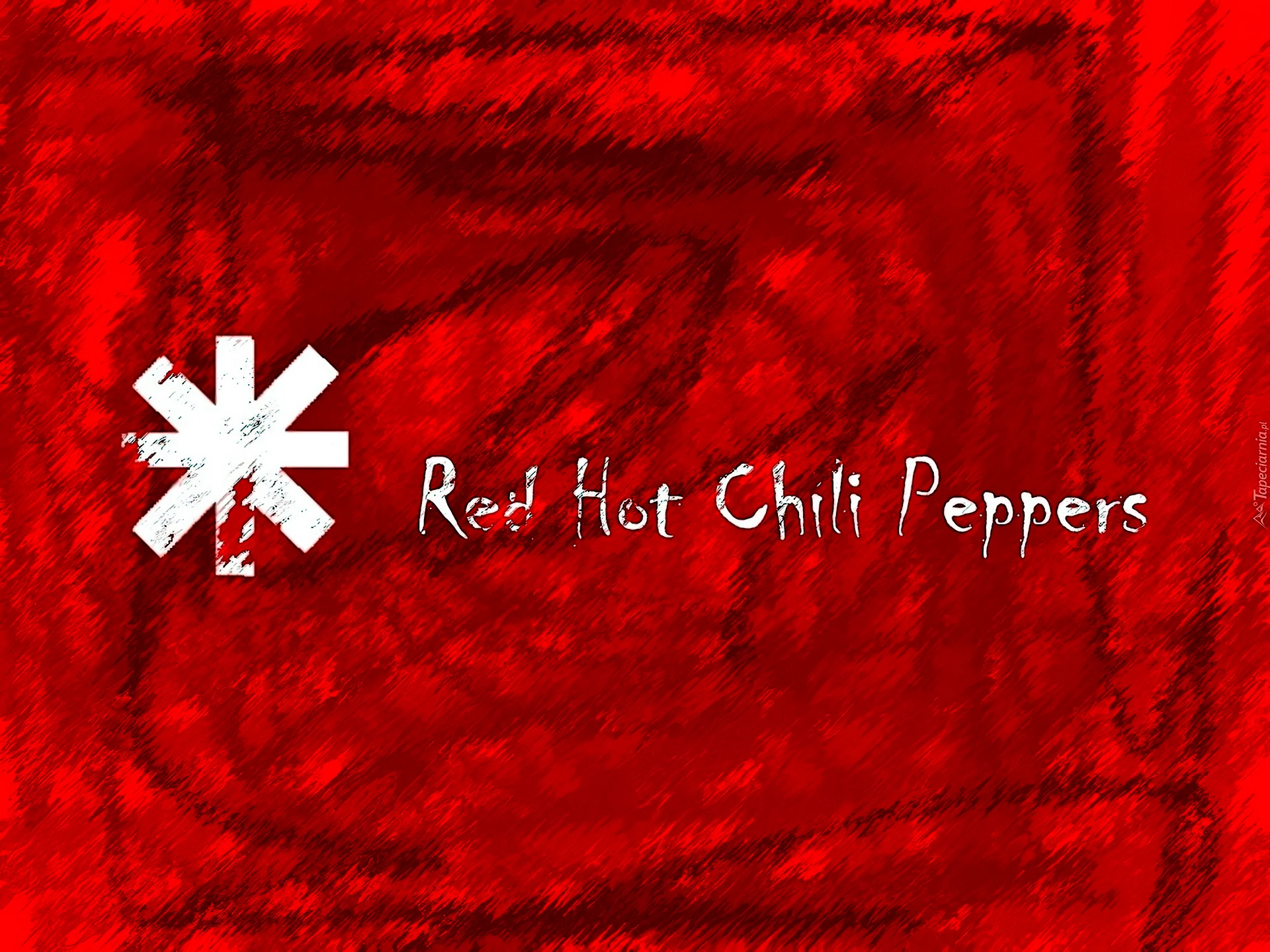 Red Hot Chili Peppers Band Logo Wallpaper