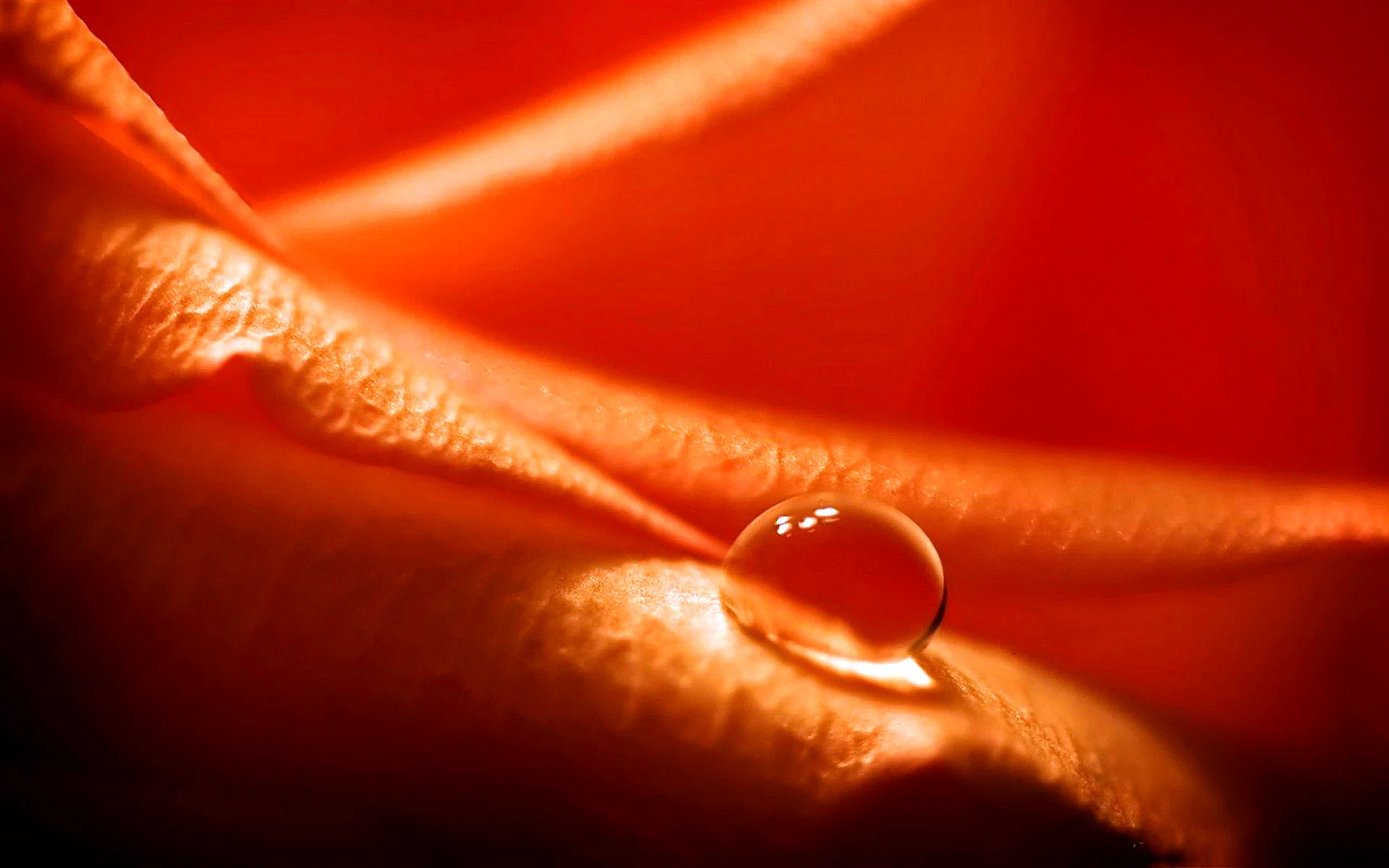 Red Orange Water Drops Wallpaper