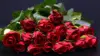 Red Rose Bouquet Wallpaper