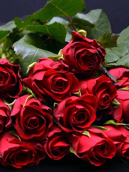 Red Rose Bouquet Wallpaper