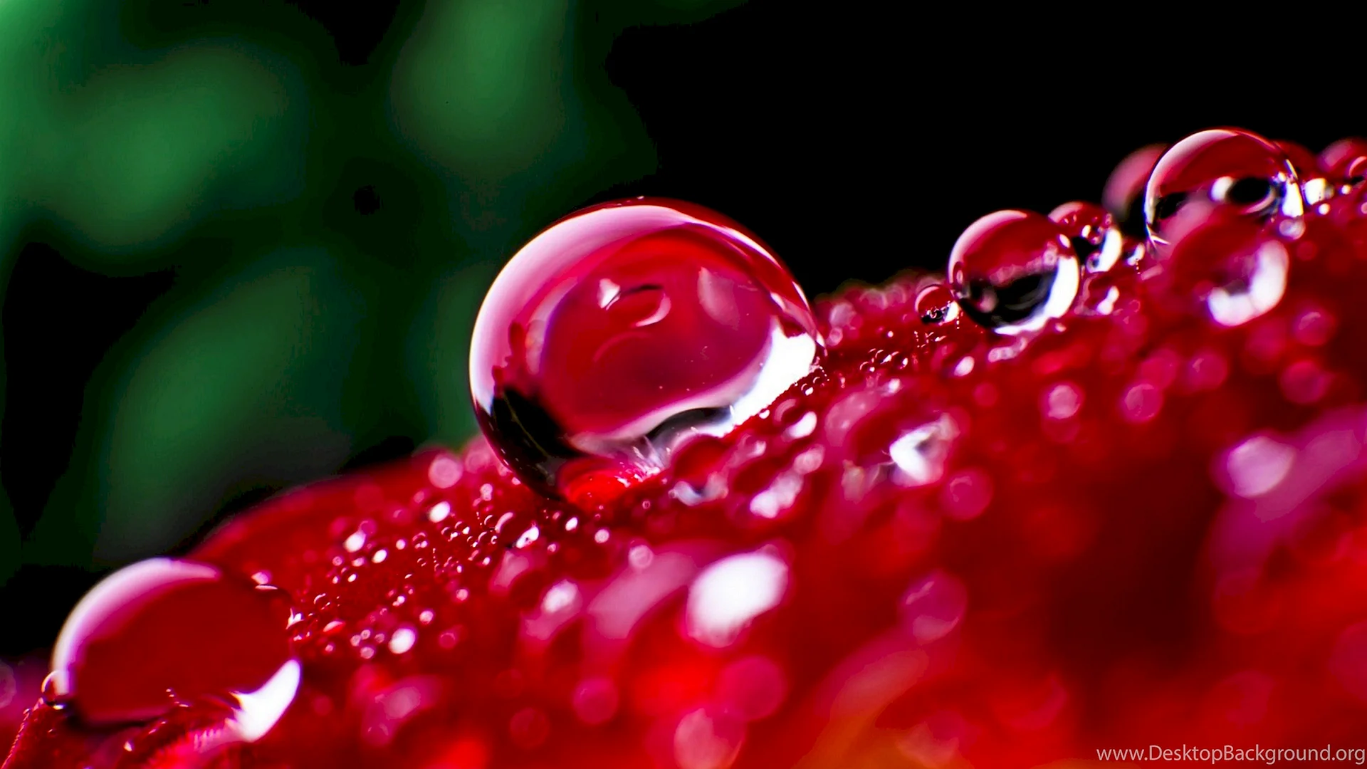 Red Water Drops Wallpaper