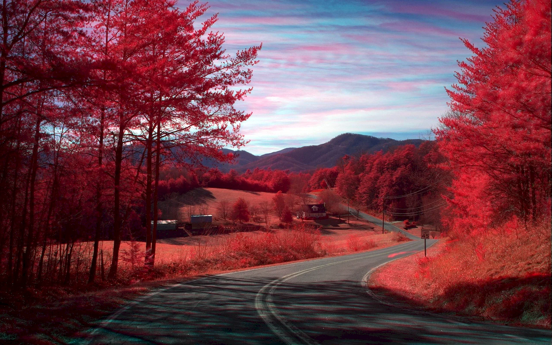 Red Nature Aesthetic Wallpaper
