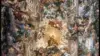 Renaissance Art Painting Wallpaper For iPhone