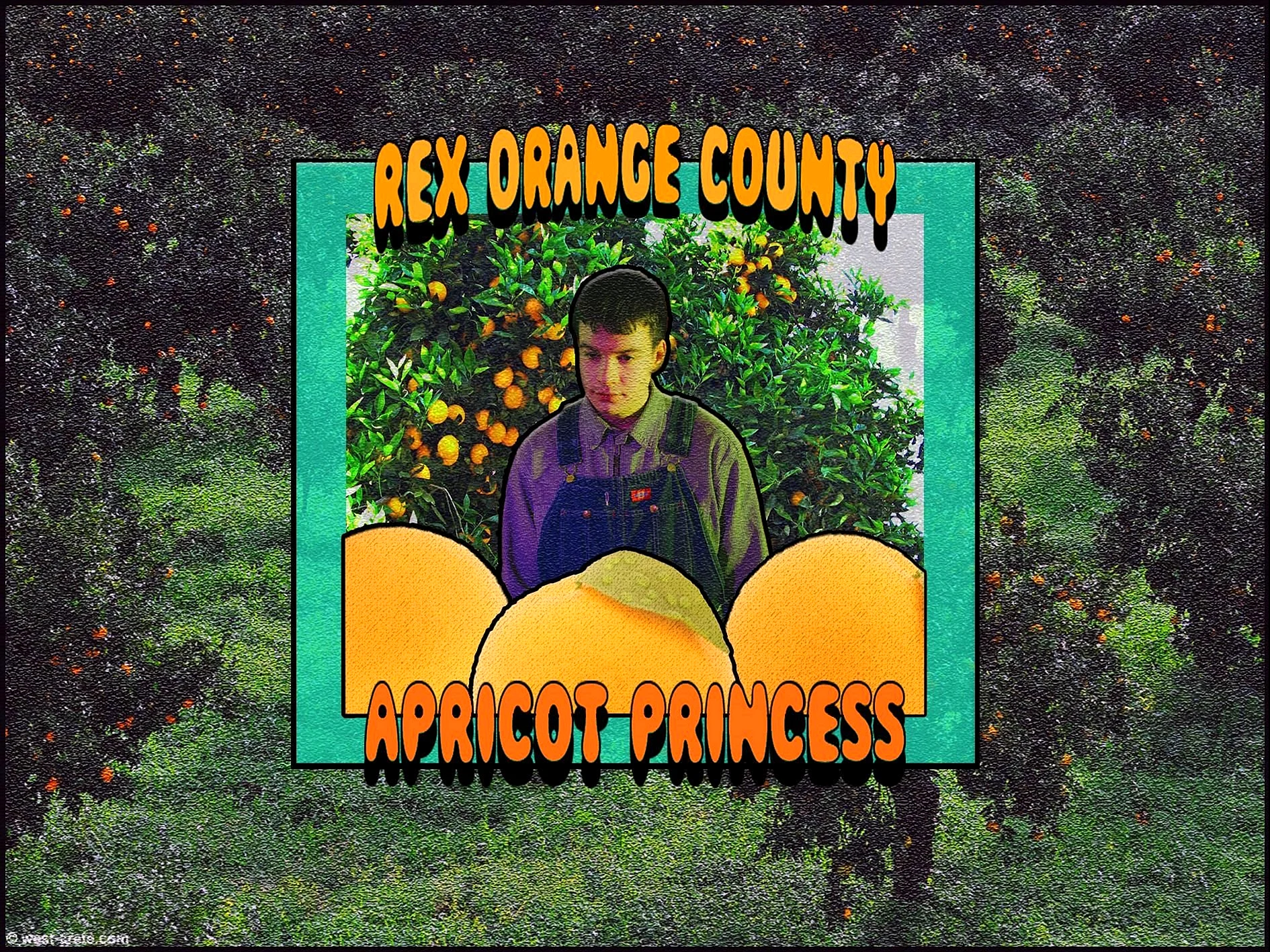 Rex Orange County Poster Wallpaper