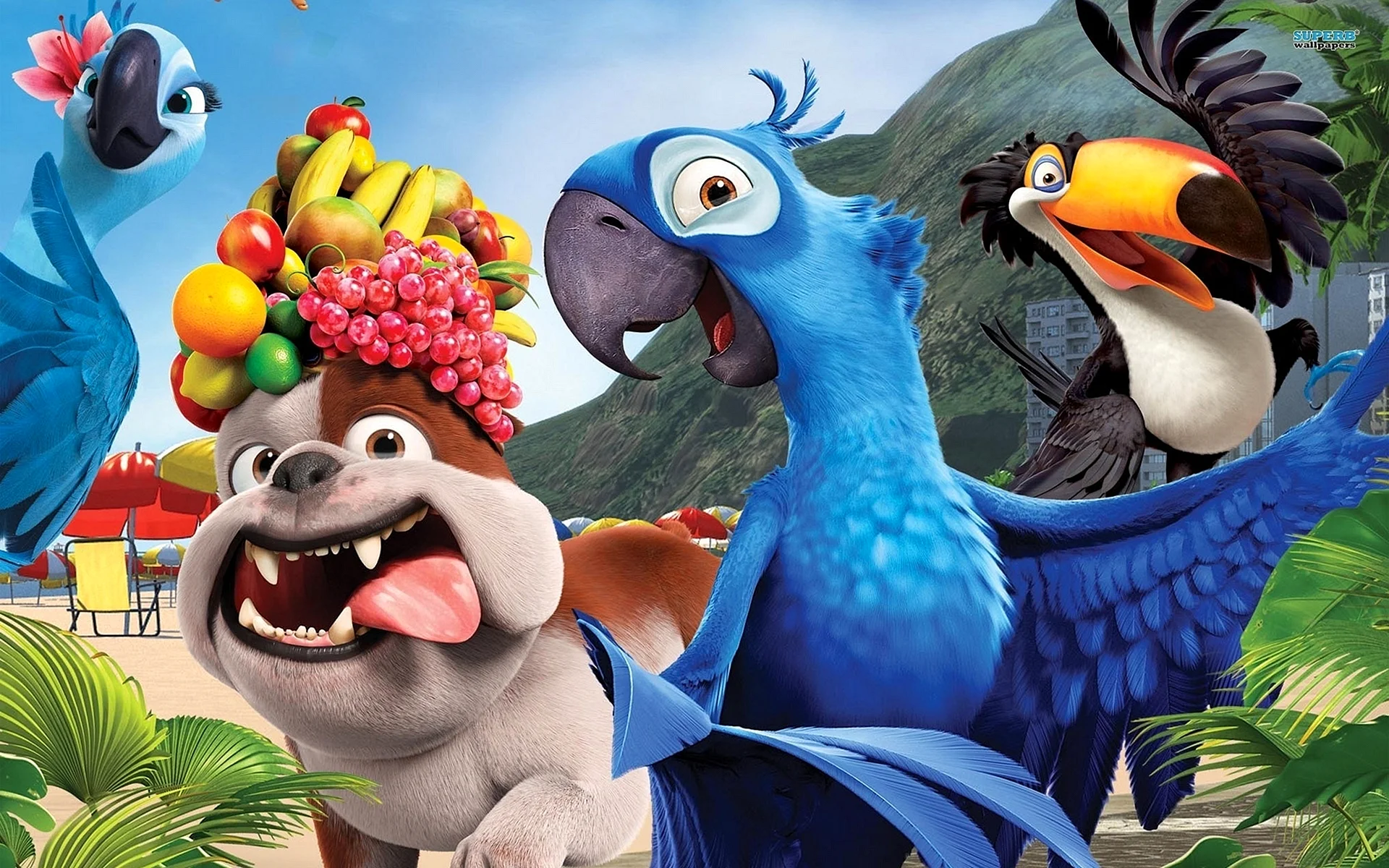 Rio 2 Wallpaper