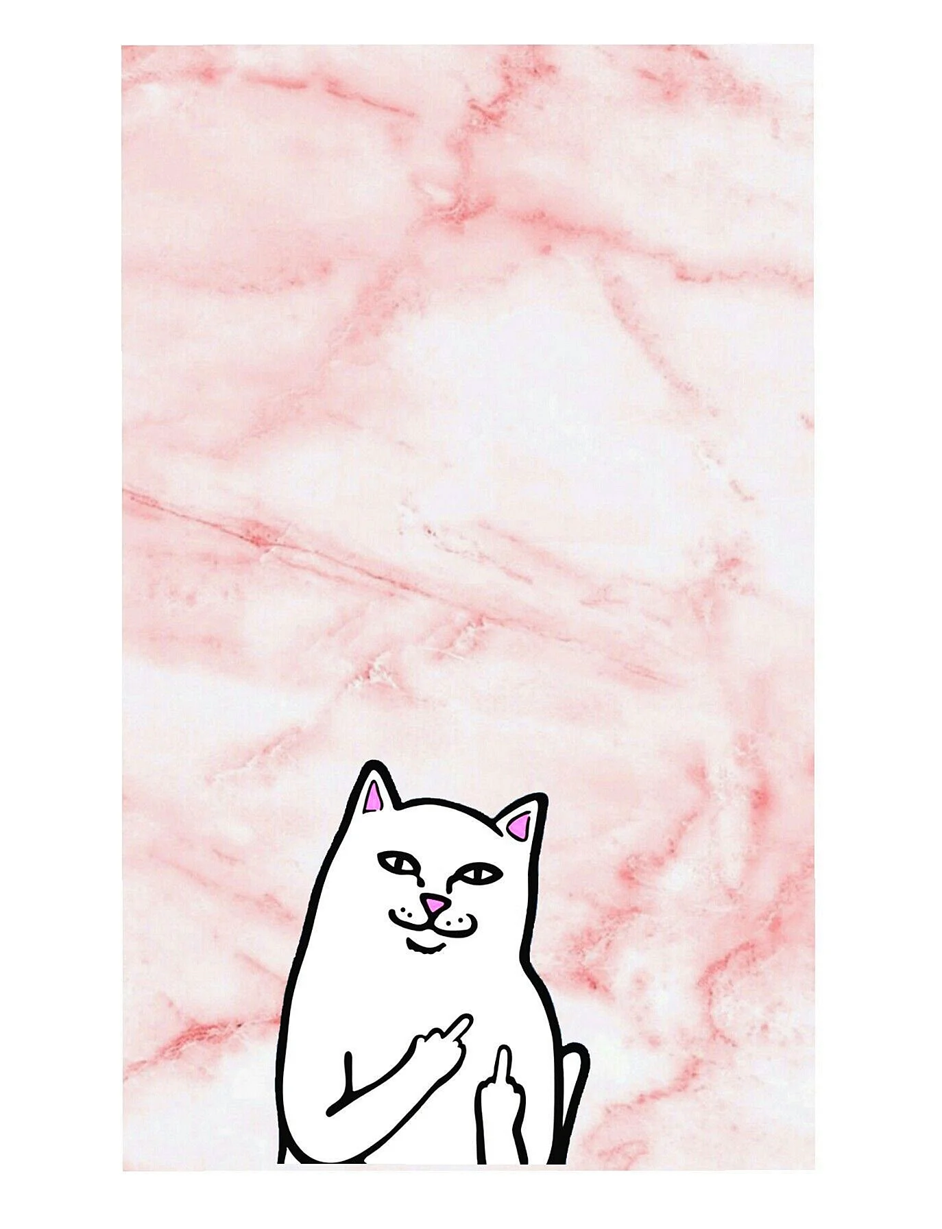 Ripndip Cat Wallpaper