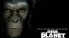 Rise Of The Planet Of The Apes Wallpaper