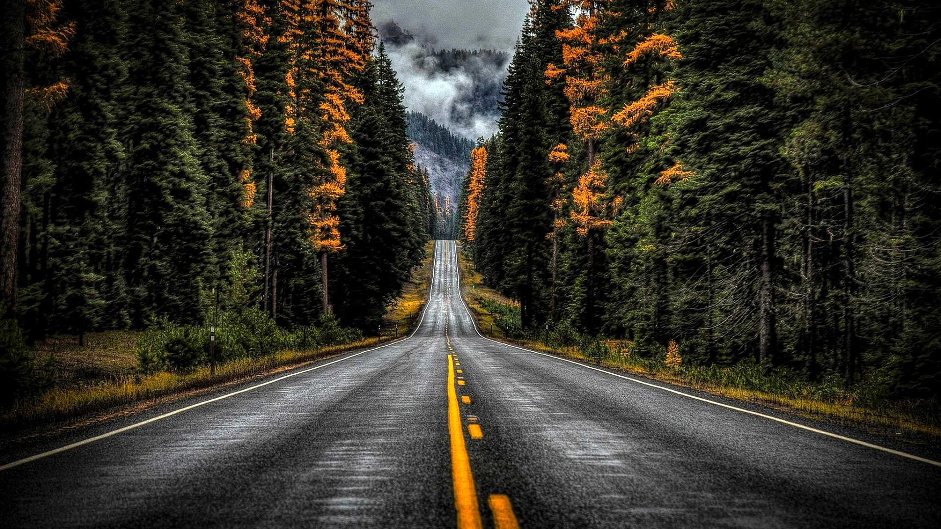 Road Wallpaper