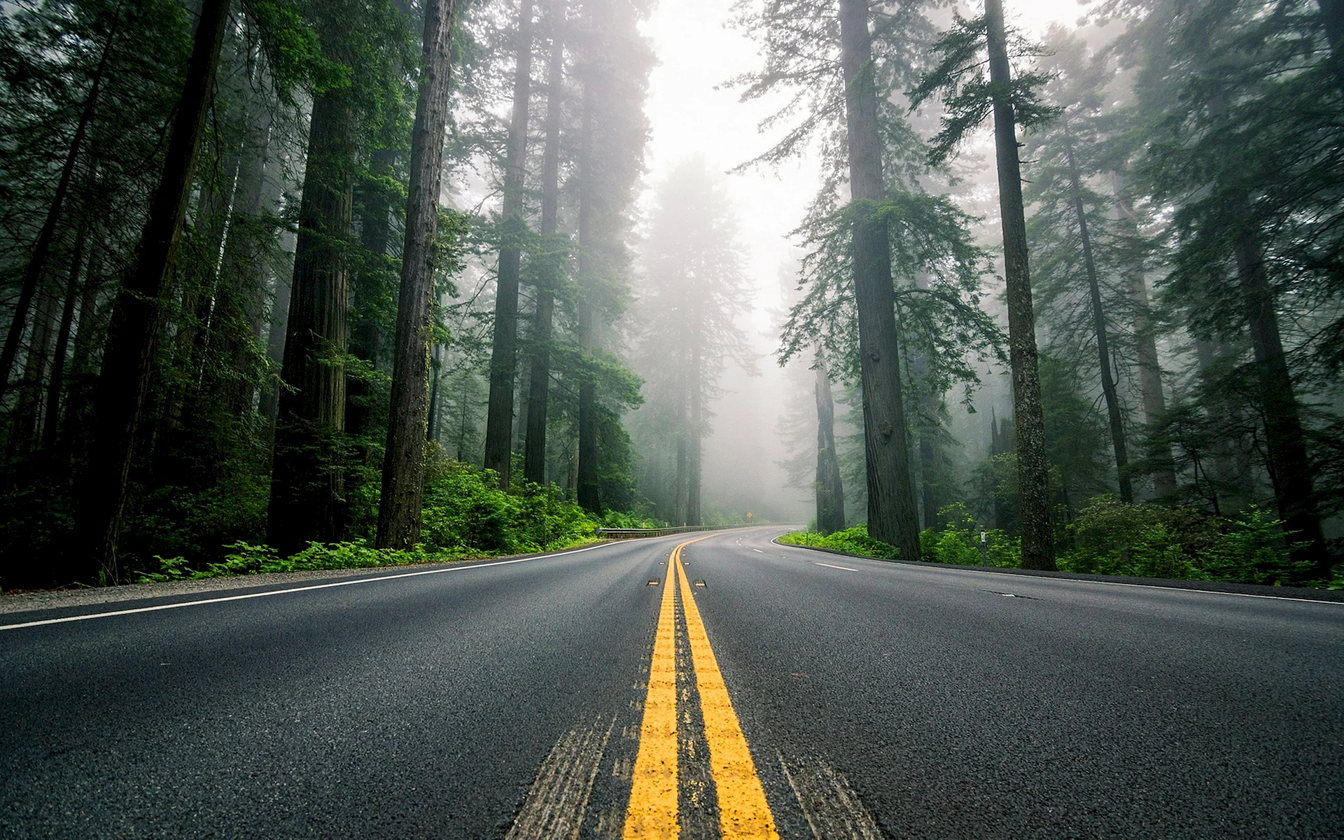 Road Wallpaper