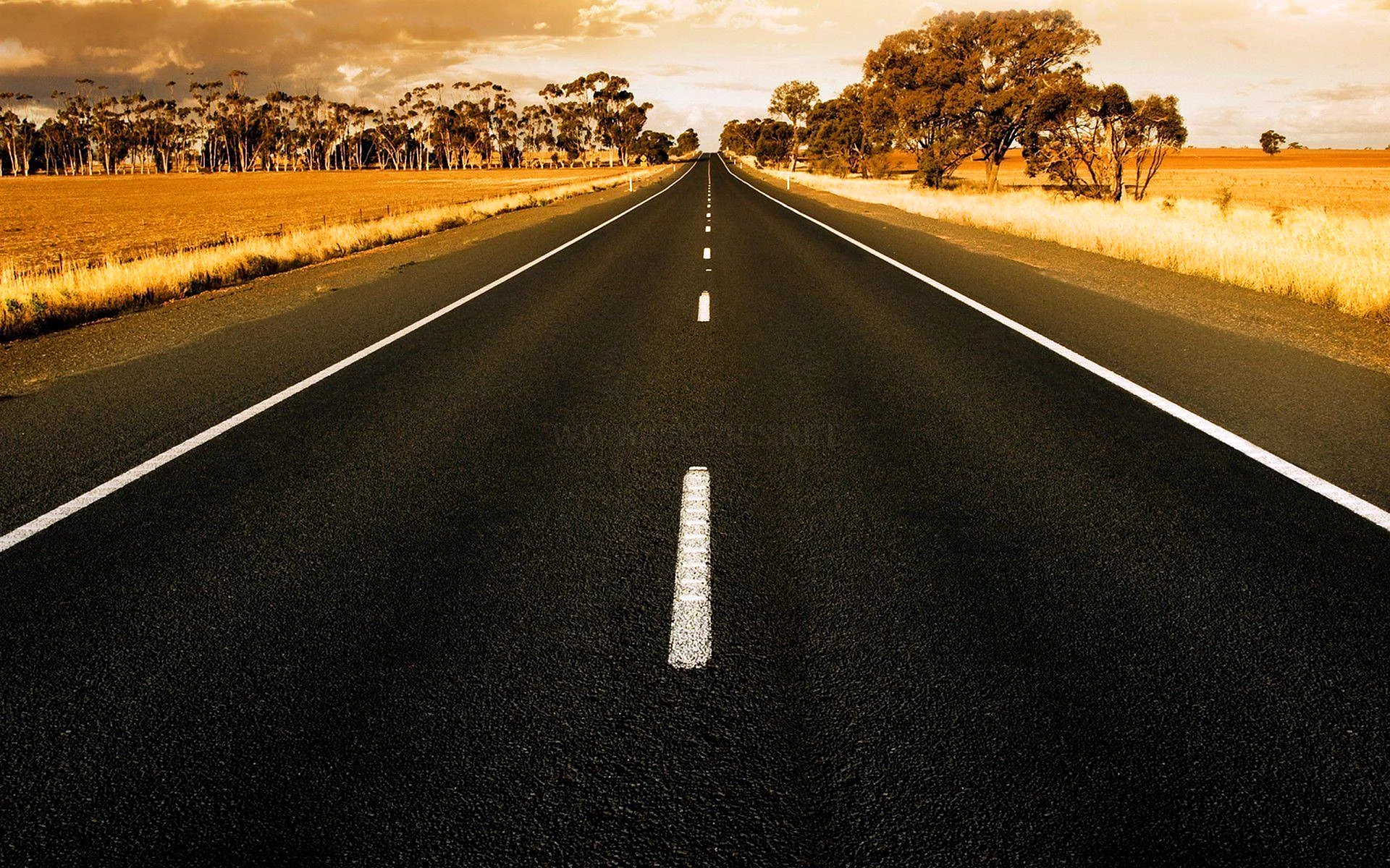 Road Wallpaper