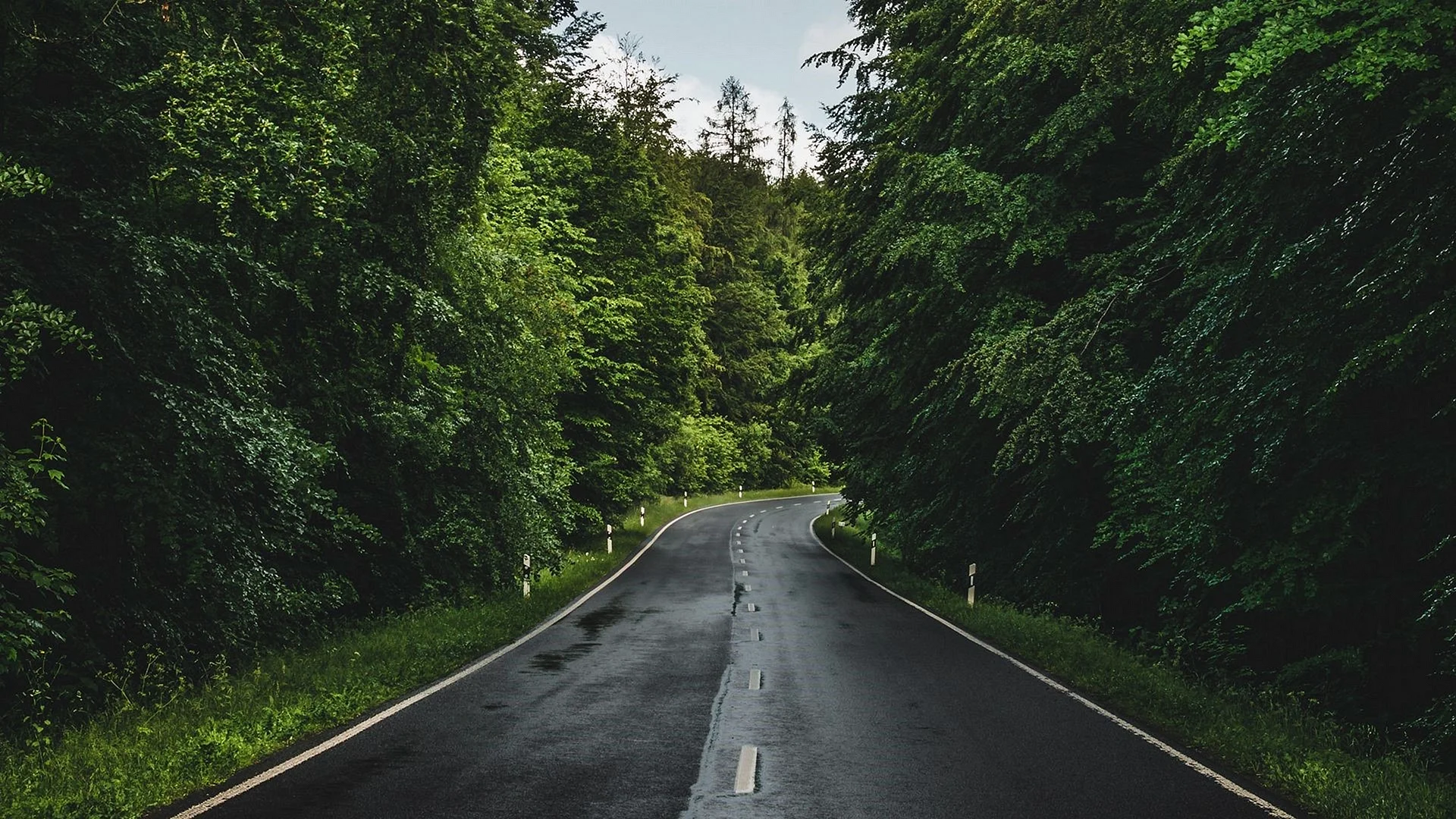 Road Wallpaper