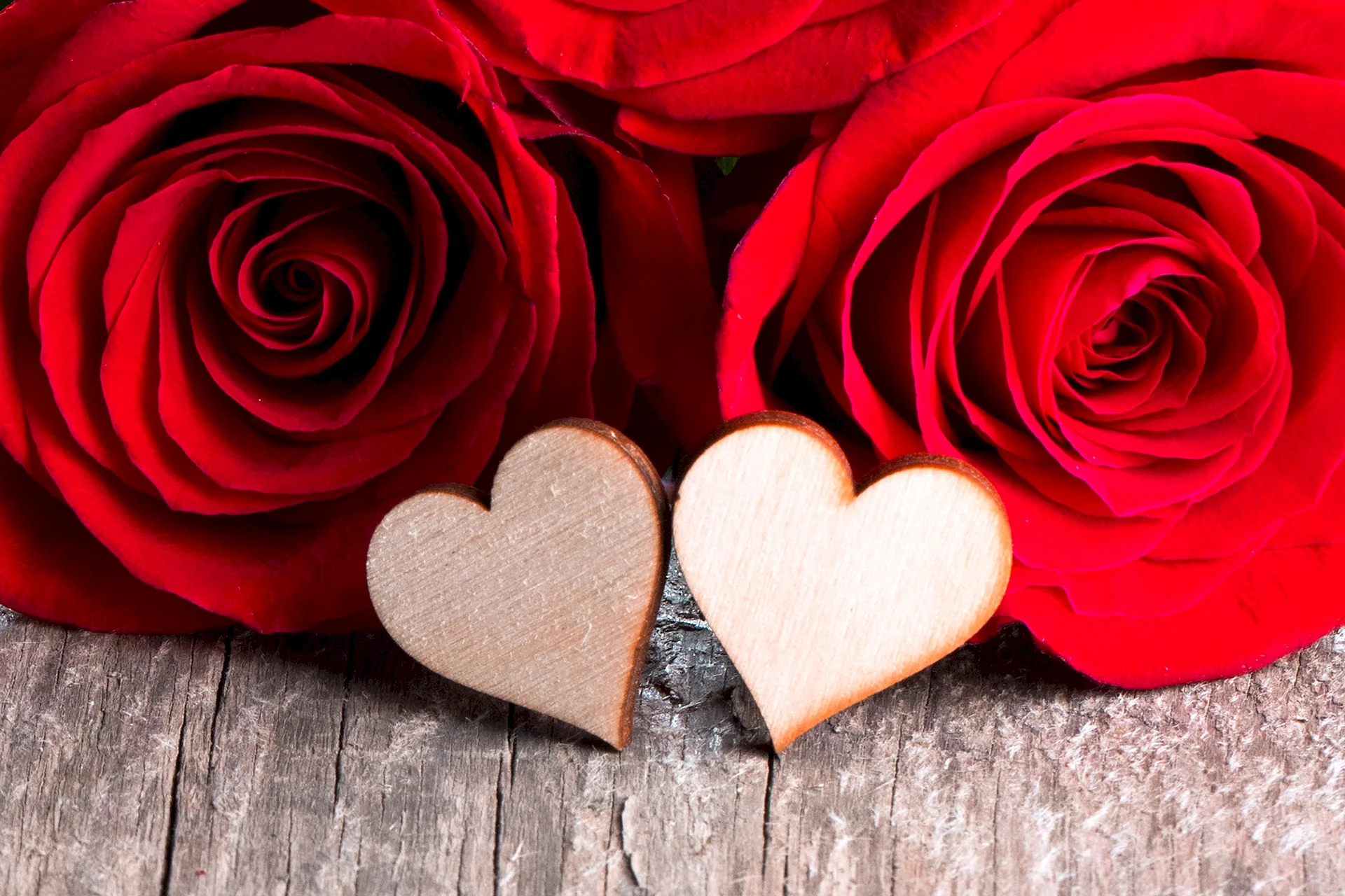 Romantic Love Flowers Wallpaper