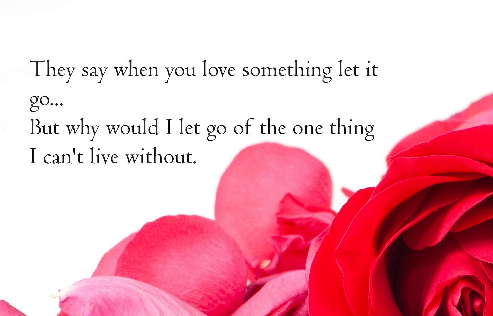 Romantic Love Message For Love Wallpaper