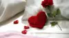 Romantic Love Flowers Wallpaper