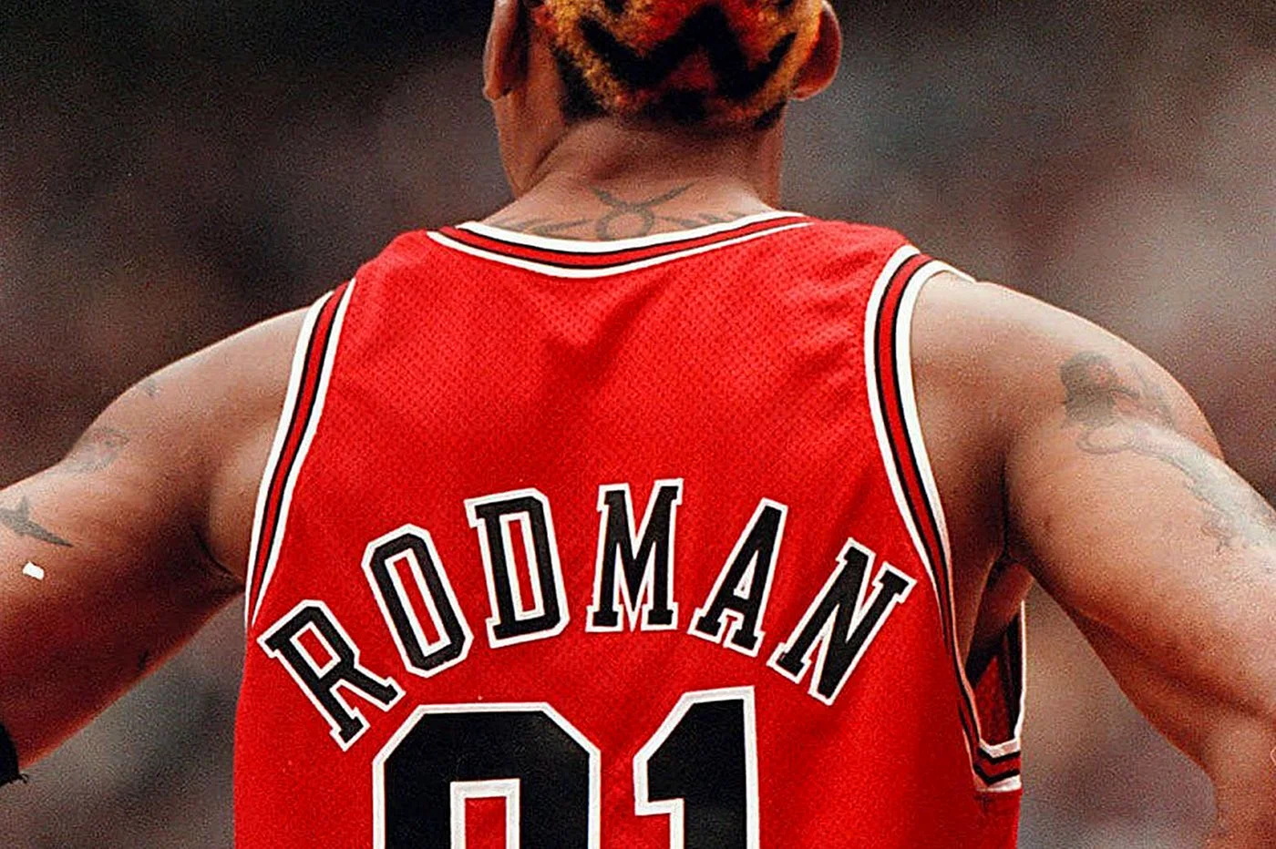 Rorzilla Dennis Rodman Wallpaper