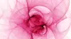 Rose Abstract Background Wallpaper